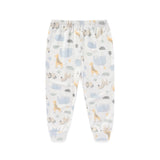Boys Clothing Elephant 2 Piece Set Outfit - kiddiezoom
