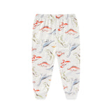 Clothing Dinosaur Baby 2 Piece Set Boys