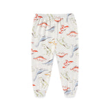 Clothing Dinosaur Baby 2 Piece Set Boys