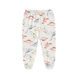 Clothing Dinosaur Baby 2 Piece Set Boys - kiddiezoom