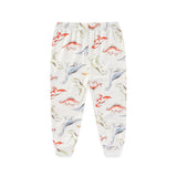 Clothing Dinosaur Baby 2 Piece Set Boys - kiddiezoom